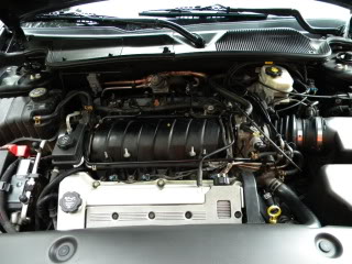 Name:  DSCN7190.jpg
Views: 52
Size:  49.0 KB