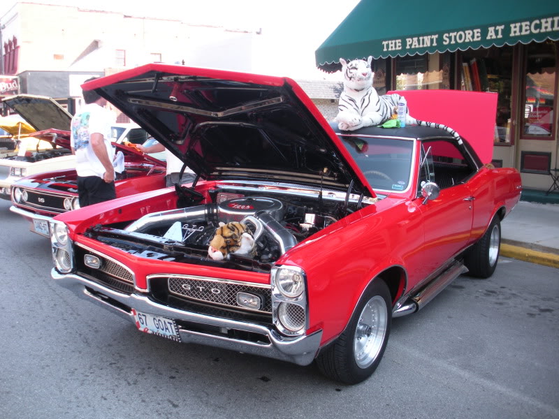 Name: DSCN3356.jpg
Views: 148
Size: 158.5 KB