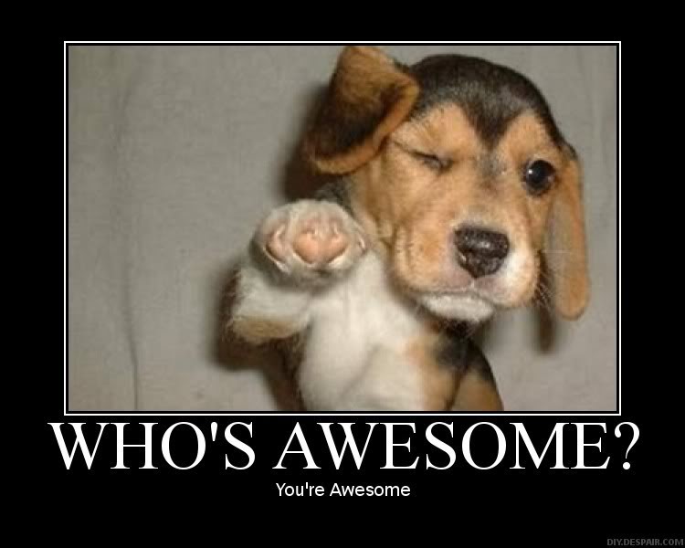 Name:  awesome.jpg
Views: 51
Size:  45.2 KB