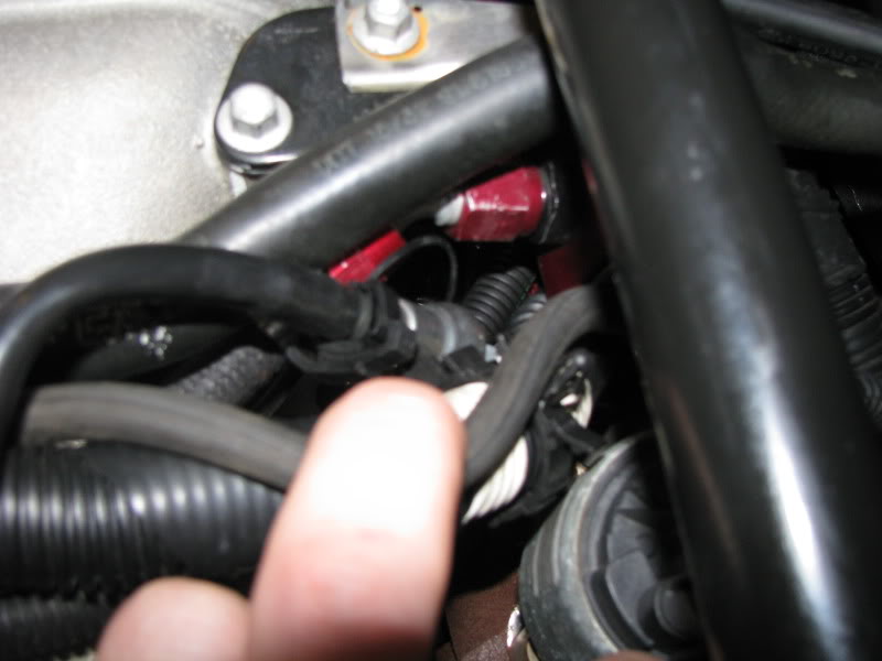 Name:  BradedSSfuellines010.jpg
Views: 41
Size:  53.2 KB