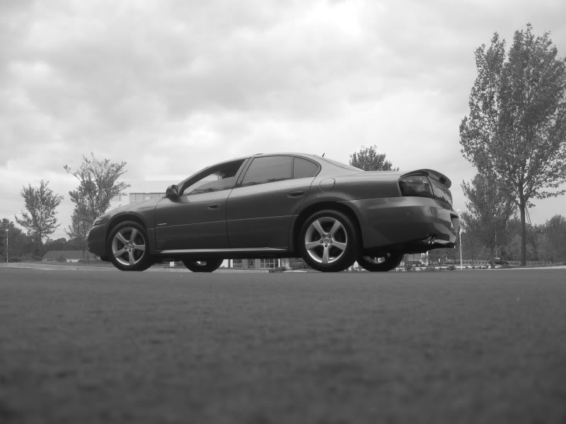 Name:  GXPphotoshoot2065.jpg
Views: 40
Size:  54.2 KB