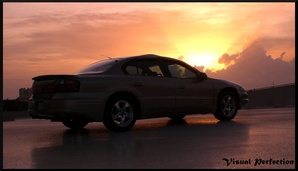 Name:  CIMG1395.jpg
Views: 42
Size:  66.2 KB