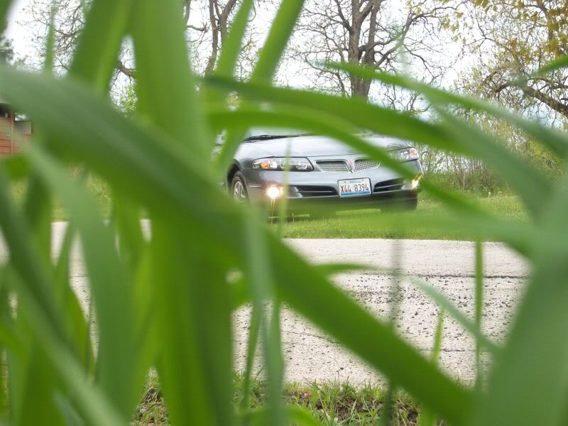 Name:  Car518015.jpg
Views: 36
Size:  93.3 KB