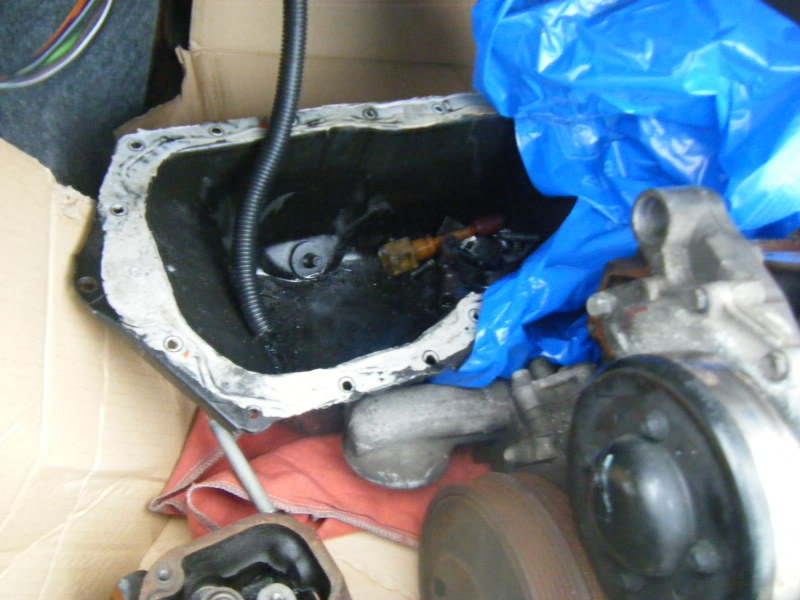 Name:  DSCF4099.jpg
Views: 56
Size:  64.7 KB