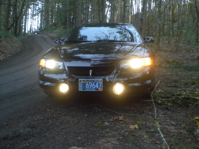 Name:  CIMG2293.jpg
Views: 32
Size:  100.8 KB