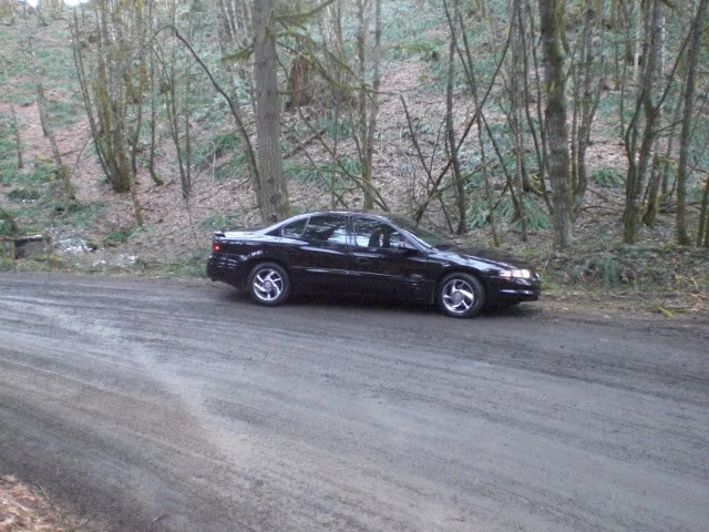 Name:  CIMG2295.jpg
Views: 27
Size:  119.1 KB