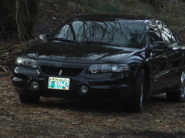 Name:  CIMG2308.jpg
Views: 27
Size:  84.3 KB