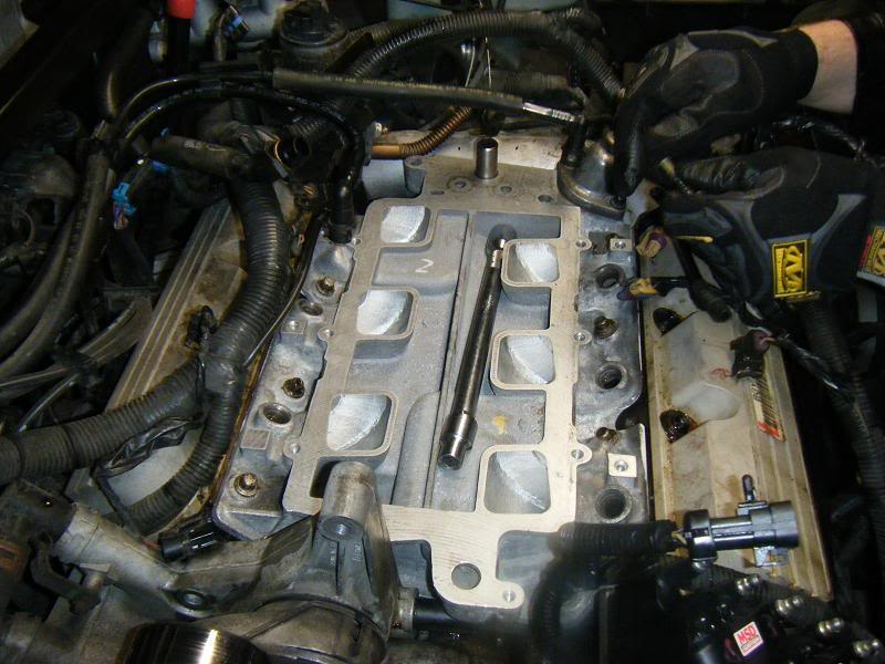 Name:  DSCF4043.jpg
Views: 280
Size:  79.3 KB