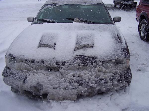 Name:  winter.jpg
Views: 62
Size:  40.2 KB