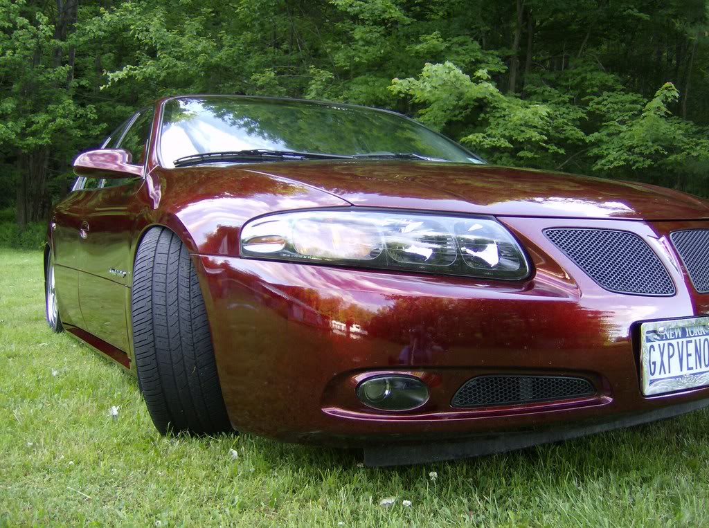 Name:  ducks048.jpg
Views: 239
Size:  195.1 KB