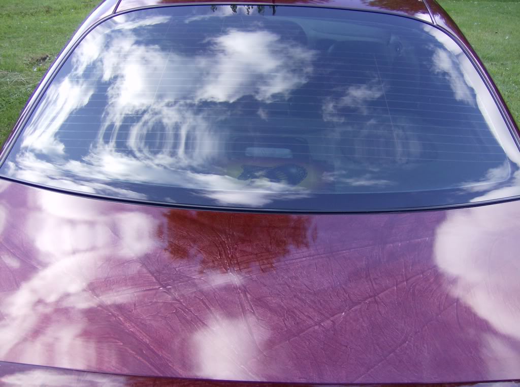 Name:  ducks036.jpg
Views: 195
Size:  103.1 KB