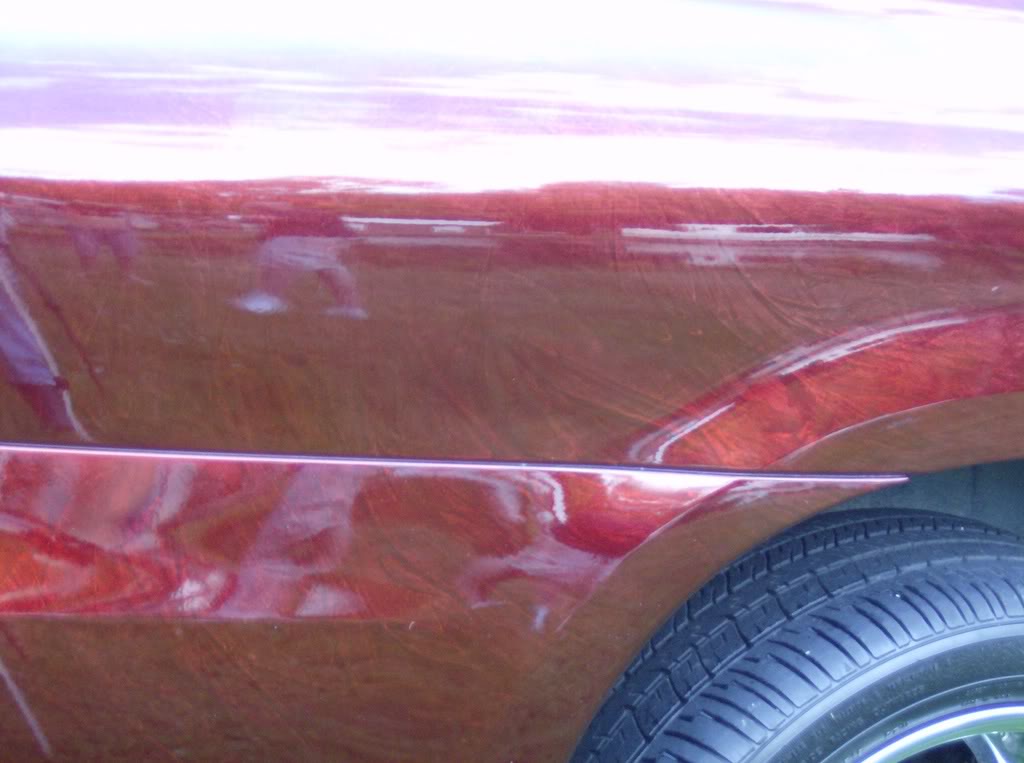 Name:  ducks033.jpg
Views: 176
Size:  74.0 KB