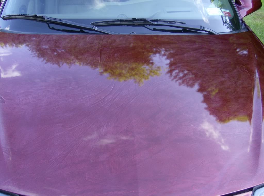 Name:  ducks029.jpg
Views: 215
Size:  88.9 KB