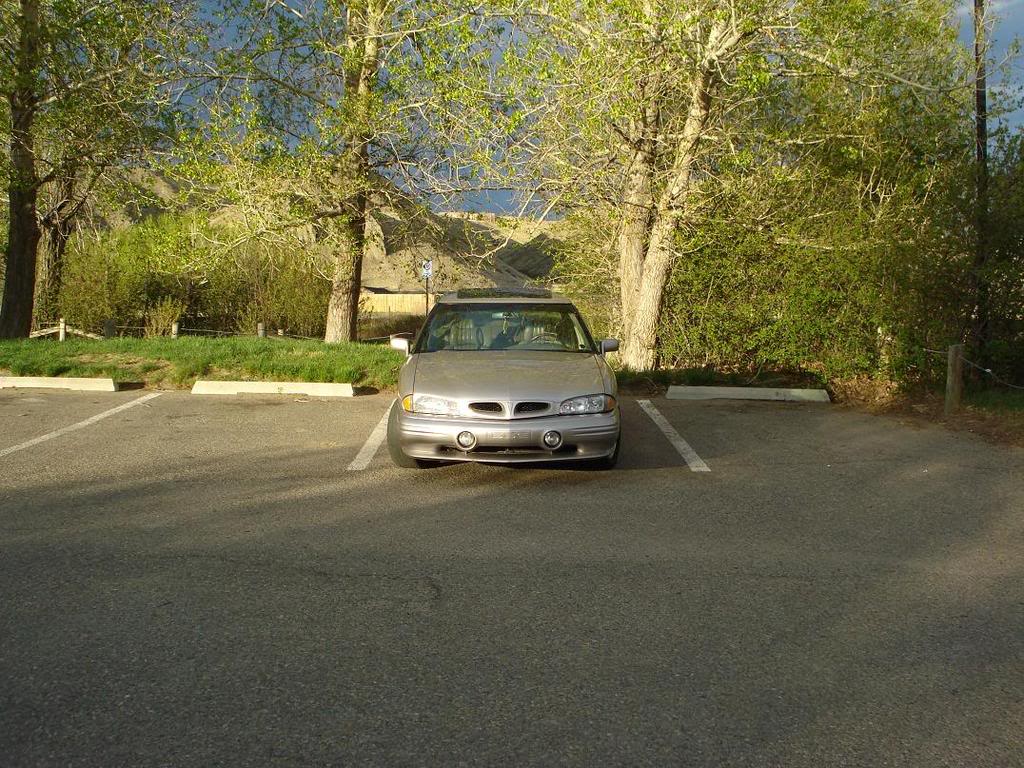 Name:  DSC00333.jpg
Views: 60
Size:  197.2 KB