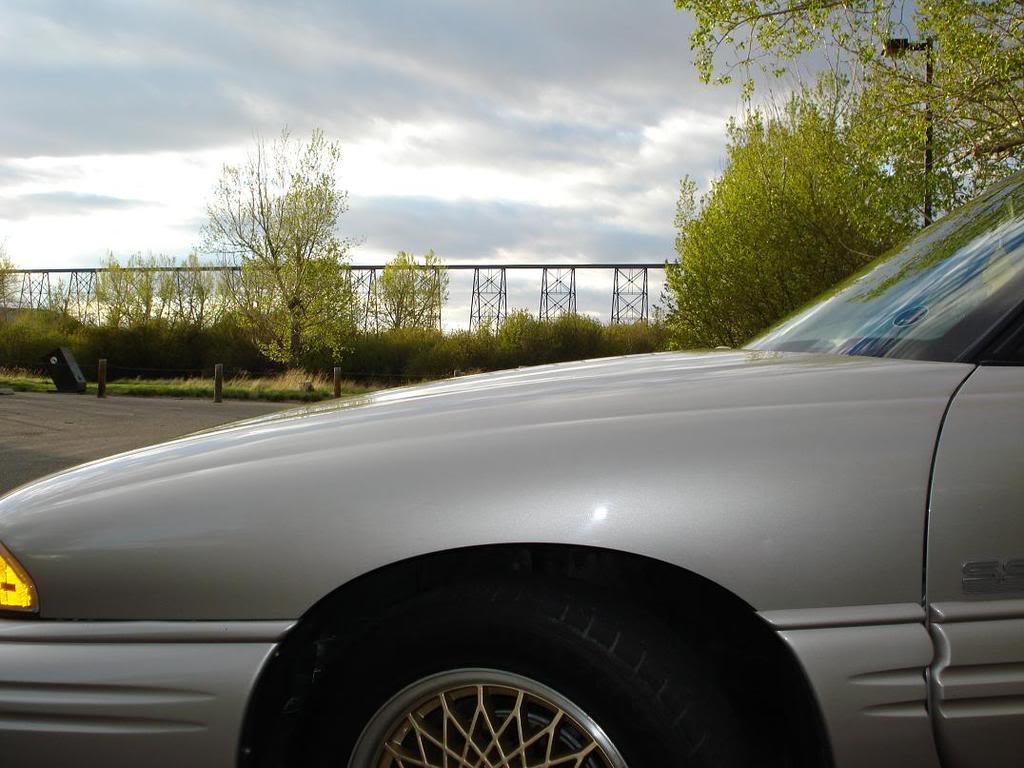 Name:  DSC00339.jpg
Views: 49
Size:  100.7 KB