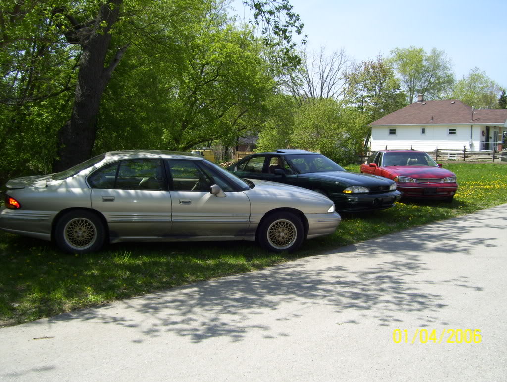Name:  picturedaybonnnnnnnnnnnnnnnewtgb-12.jpg
Views: 29
Size:  196.1 KB