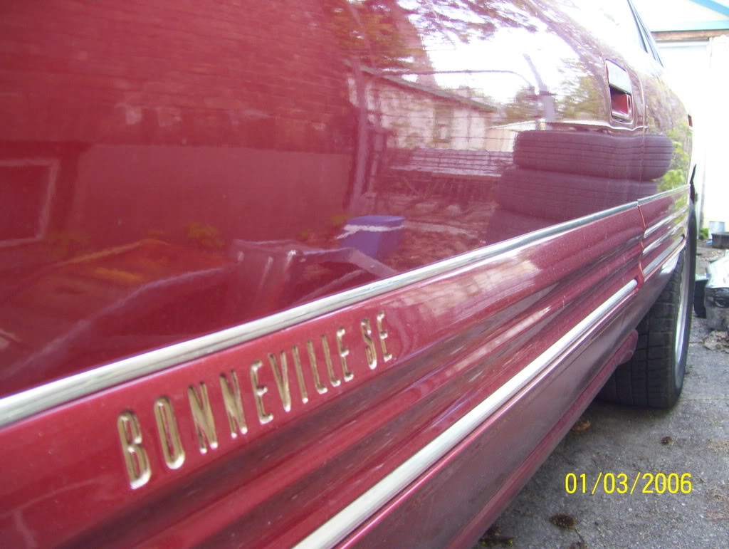Name:  bonnebilllweeeeeeeeeeeeeeeeeeeee-9.jpg
Views: 41
Size:  126.8 KB