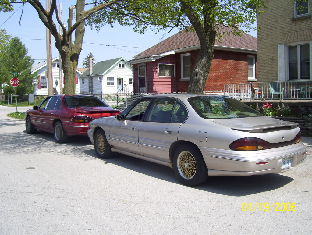 Name:  bonnies003.jpg
Views: 202
Size:  197.9 KB