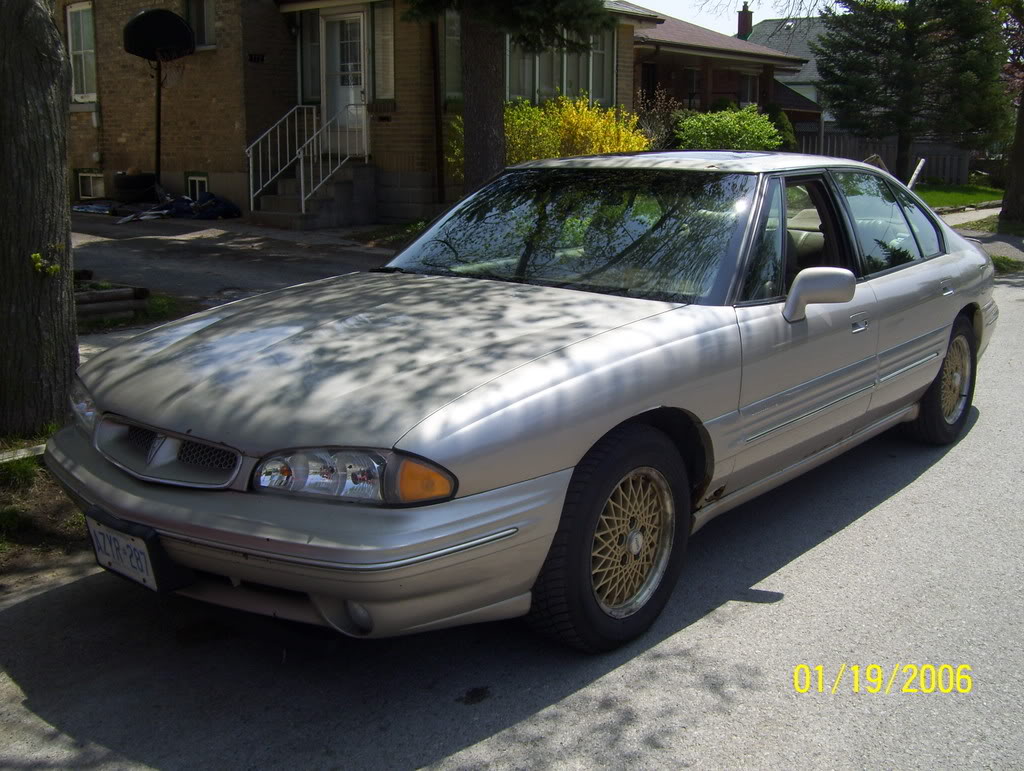 Name:  bonnies002.jpg
Views: 197
Size:  165.0 KB