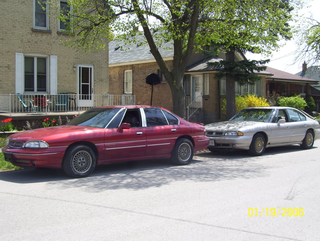 Name:  bonnies001.jpg
Views: 200
Size:  201.8 KB