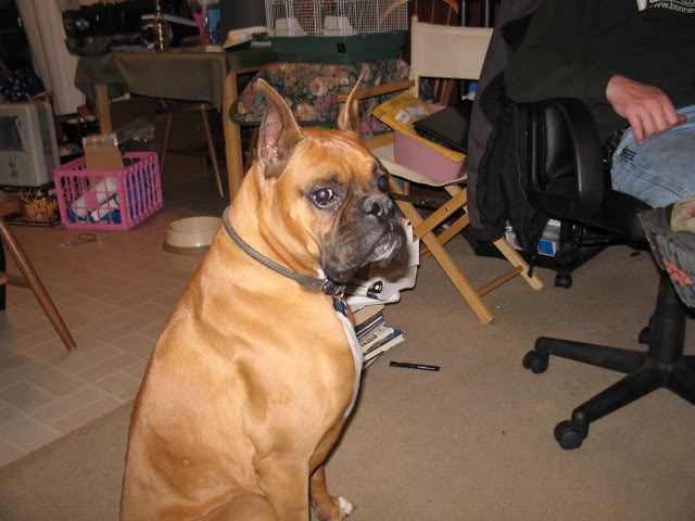 Name:  IMG_4414.jpg
Views: 37
Size:  52.5 KB