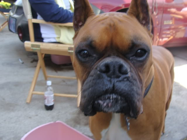 Name: DSC01421.jpg
Views: 45
Size: 44.0 KB