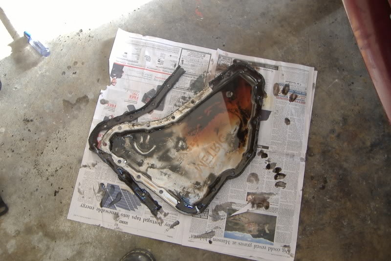 Name:  DSCF3339.jpg
Views: 521
Size:  81.2 KB