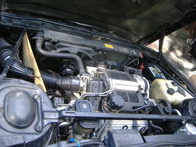 Name:  carandforestpics017.jpg
Views: 31
Size:  52.0 KB
