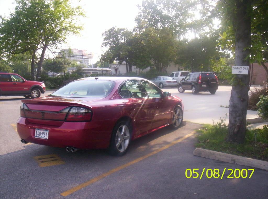 Name:  Scarlett001.jpg
Views: 29
Size:  130.5 KB