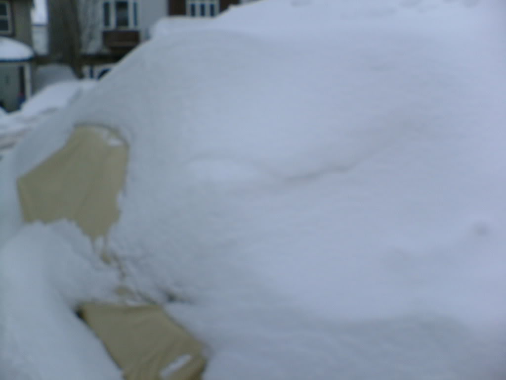 Name:  winter2008004.jpg
Views: 36
Size:  30.5 KB