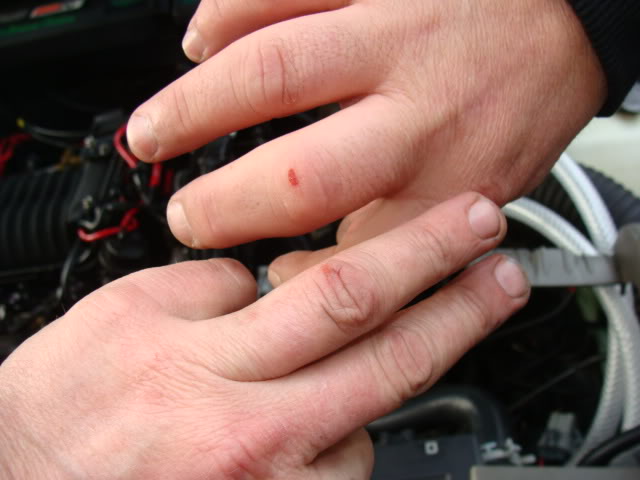 Name: DSC00935.jpg
Views: 41
Size: 46.3 KB