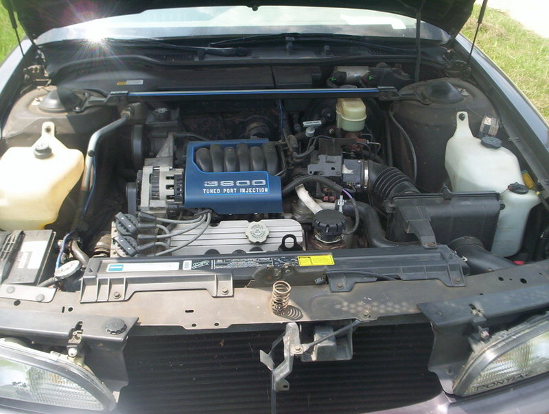Name:  000_1487.jpg
Views: 30
Size:  106.4 KB