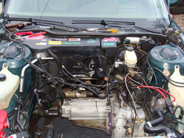 Name:  DSC00858-1.jpg
Views: 40
Size:  87.8 KB