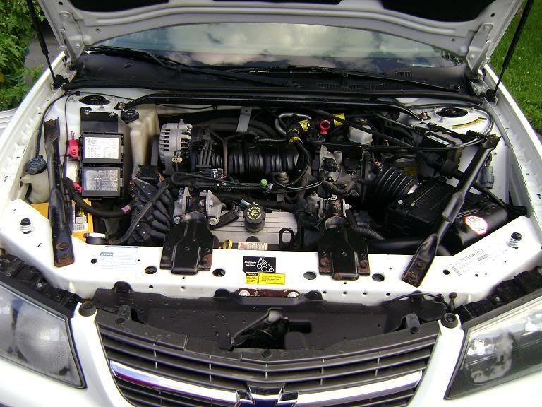 Name:  DSC07257.jpg
Views: 45
Size:  88.2 KB