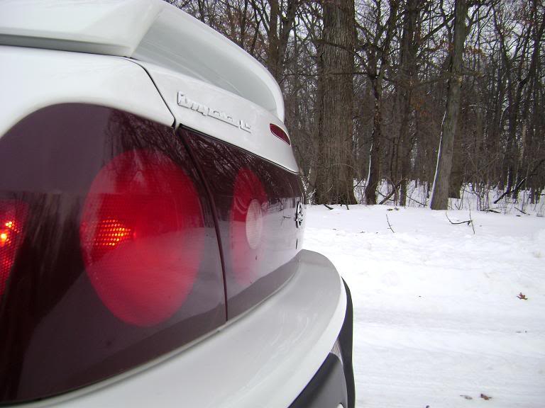 Name:  DSC08849.jpg
Views: 41
Size:  75.3 KB