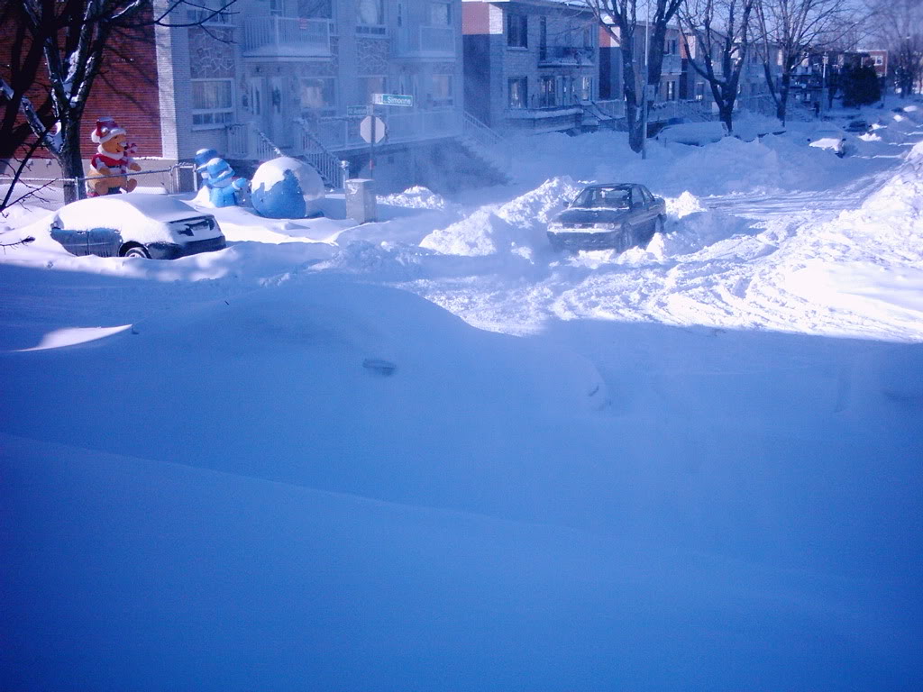 Name:  winterstorm17dec2007.jpg
Views: 128
Size:  127.5 KB
