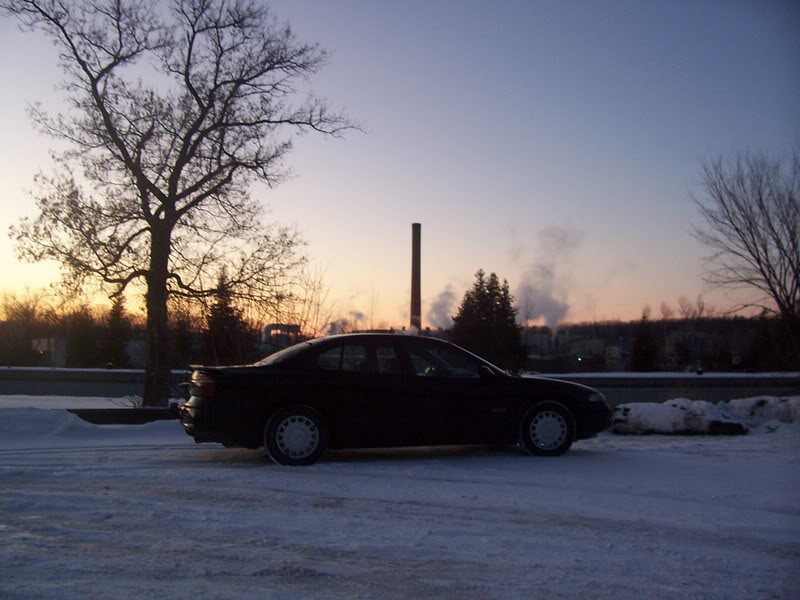 Name: 000_0856.jpg
Views: 41
Size: 69.9 KB