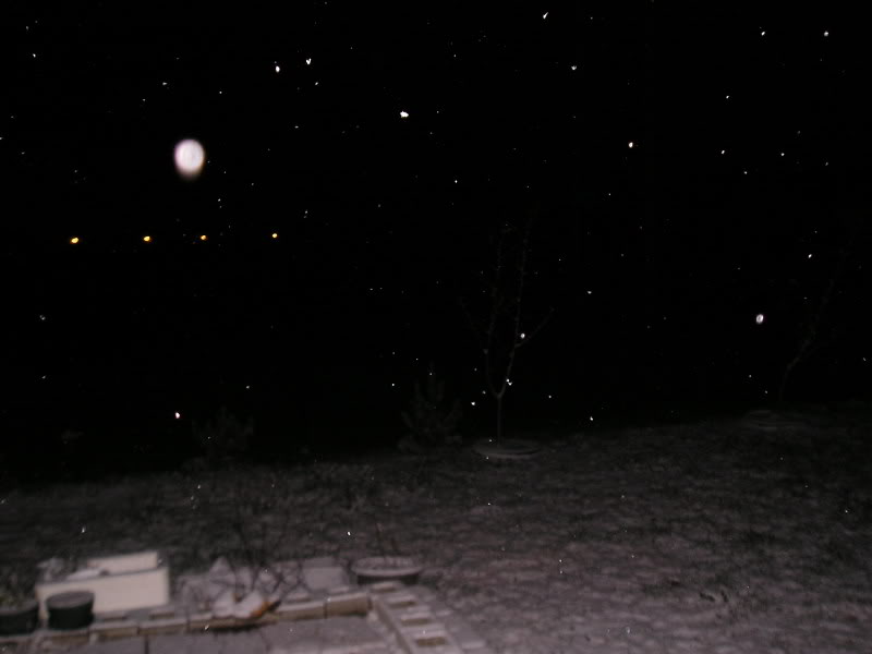 Name:  P1010978.jpg
Views: 58
Size:  26.3 KB