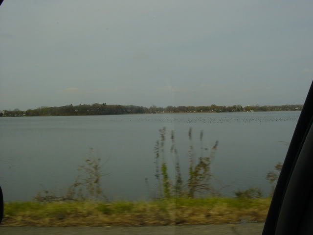 Name:  DSC01682.jpg
Views: 33
Size:  19.9 KB