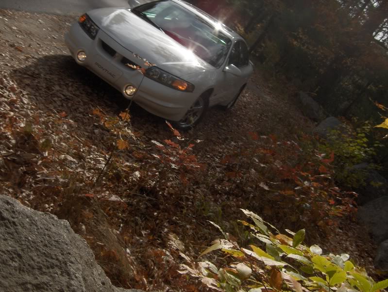Name:  11-8-07fallcolors003.jpg
Views: 29
Size:  108.4 KB