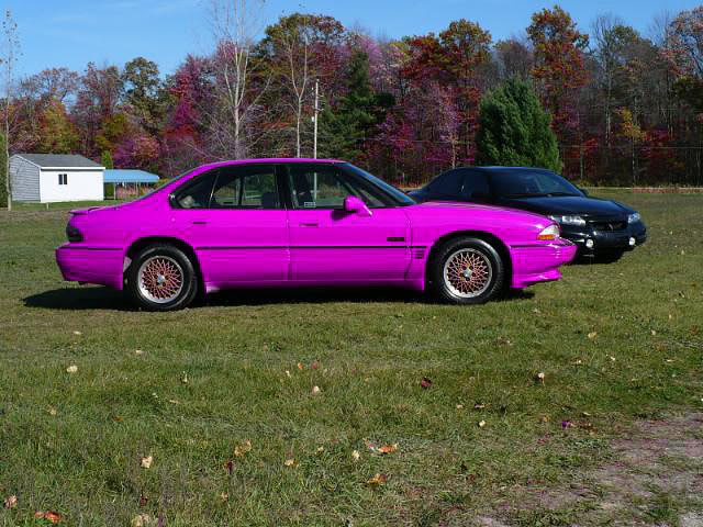 Name:  Pinky.jpg
Views: 38
Size:  91.9 KB