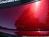 Custom Paint Jobs!!-sungxp.jpg