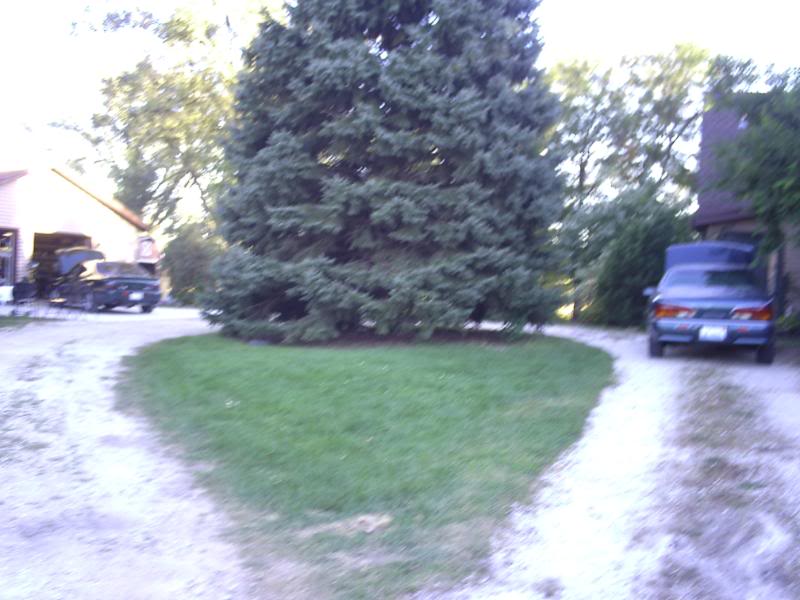 Name:  DIGI0014.jpg
Views: 24
Size:  64.6 KB