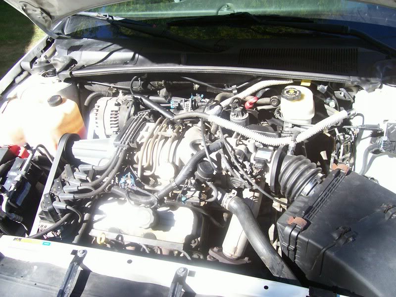 Name:  100_3524.jpg
Views: 45
Size:  106.3 KB