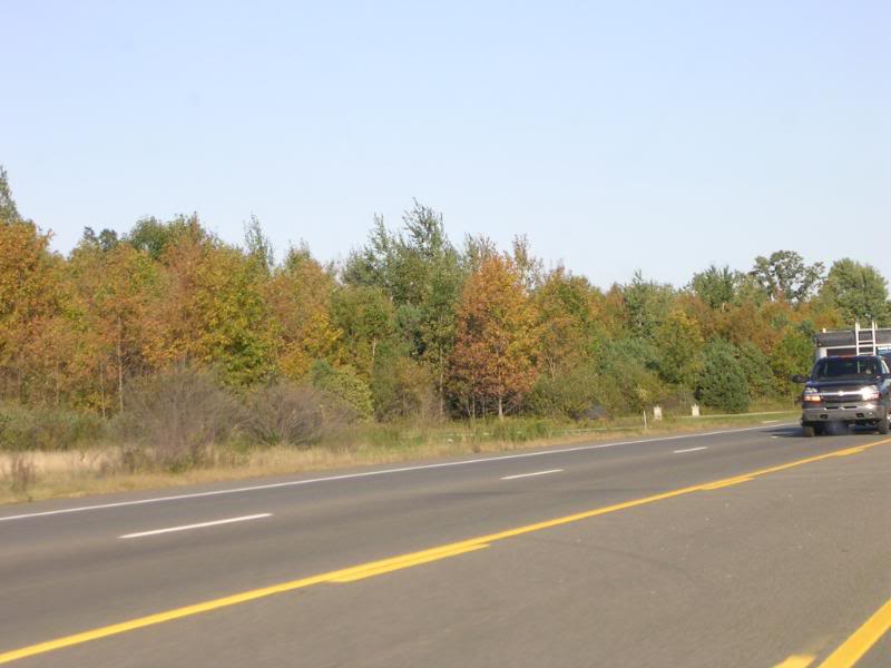 Name:  DSCN1871.jpg
Views: 40
Size:  49.3 KB