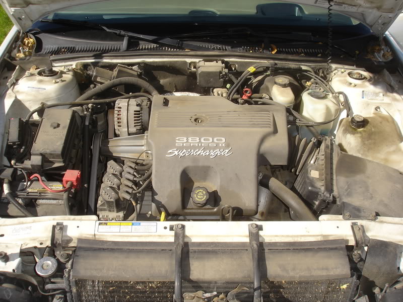 Name:  DSC08541.jpg
Views: 49
Size:  112.3 KB