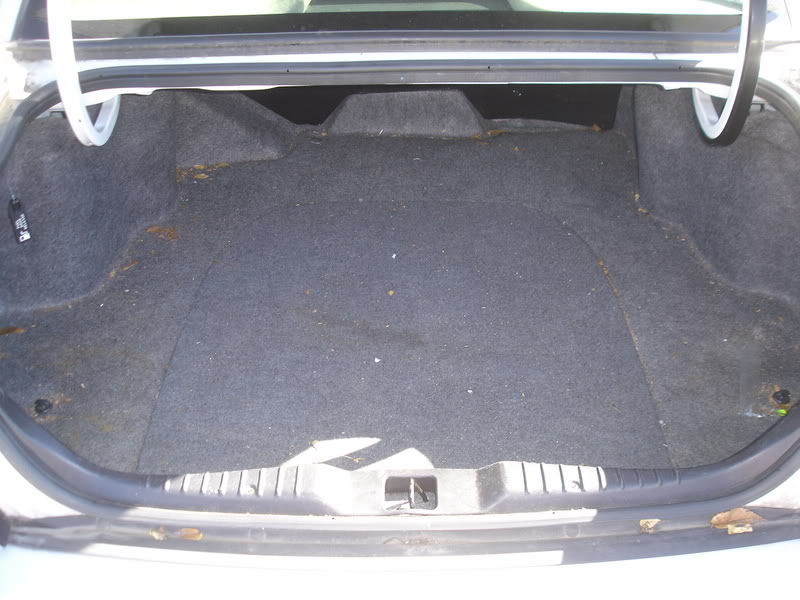 Name:  DSC08542.jpg
Views: 48
Size:  79.2 KB