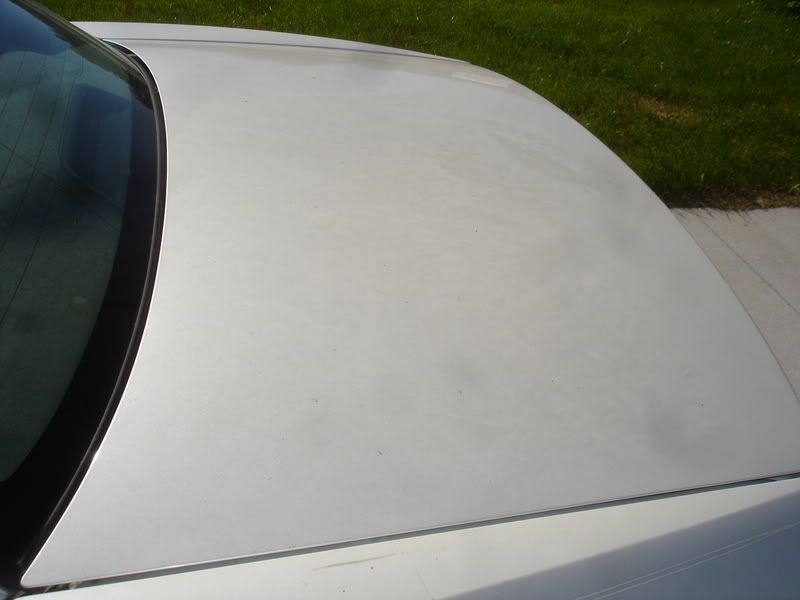 Name:  DSC08543.jpg
Views: 49
Size:  37.1 KB