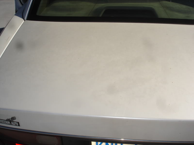 Name:  DSC08544.jpg
Views: 45
Size:  27.9 KB