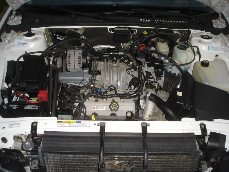 Name:  DSC08759.jpg
Views: 44
Size:  102.1 KB